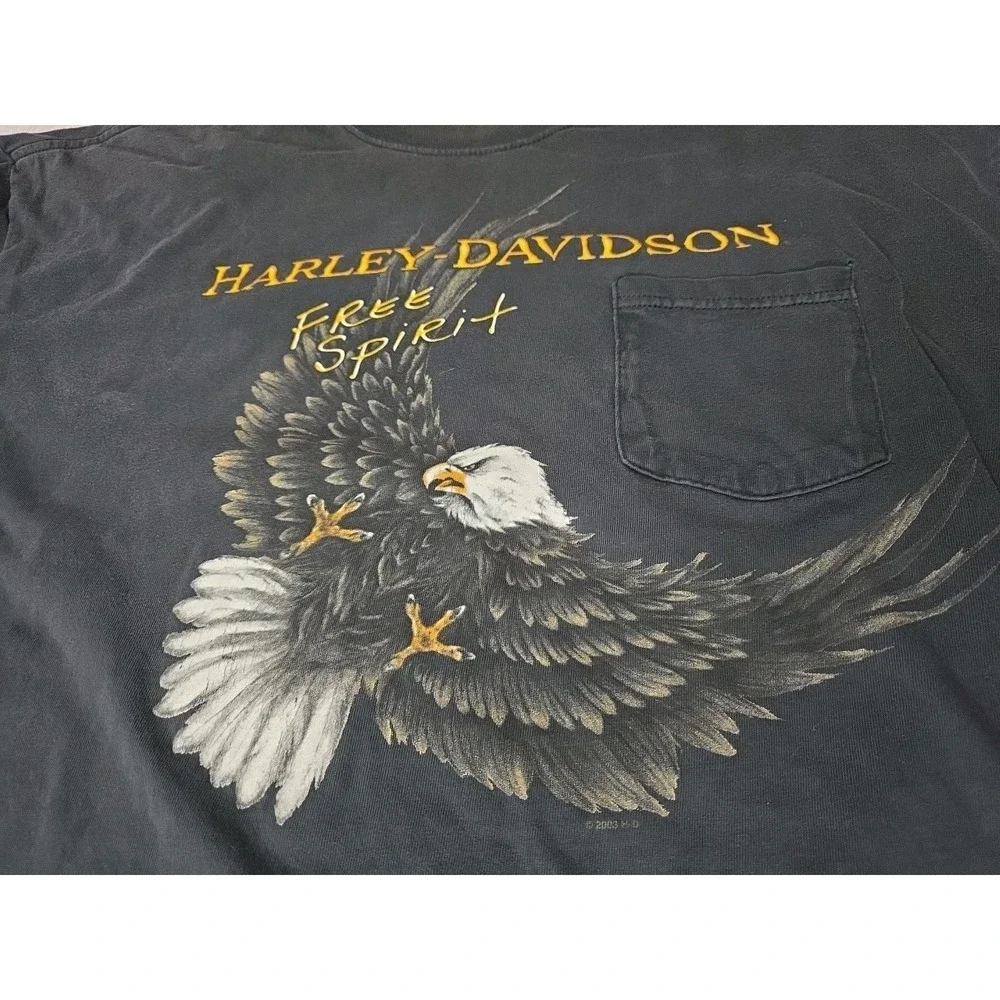 Vintage 2000 Harley Davidson Sauk Prairie WI HOG Hospital T-Shirt XL Free Spirit - Picture 1 of 16